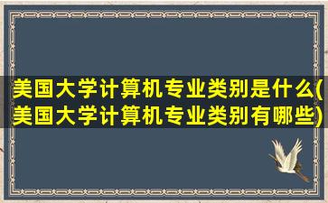 美国大学计算机专业类别是什么(美国大学计算机专业类别有哪些)