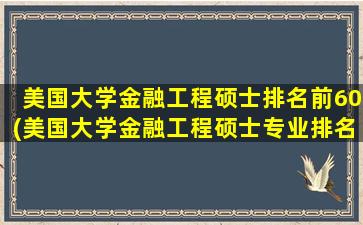 美国大学金融工程硕士排名前60(美国大学金融工程硕士专业排名)