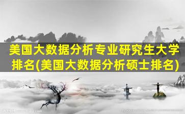 美国大数据分析专业研究生大学排名(美国大数据分析硕士排名)