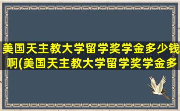 美国天主教大学留学奖学金多少钱啊(美国天主教大学留学奖学金多少钱一个月)