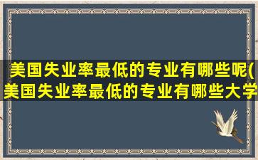 美国失业率最低的专业有哪些呢(美国失业率最低的专业有哪些大学)