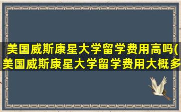 美国威斯康星大学留学费用高吗(美国威斯康星大学留学费用大概多少)