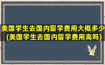 美国学生去国内留学费用大概多少(美国学生去国内留学费用高吗)