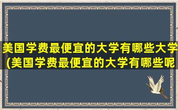 美国学费最便宜的大学有哪些大学(美国学费最便宜的大学有哪些呢)