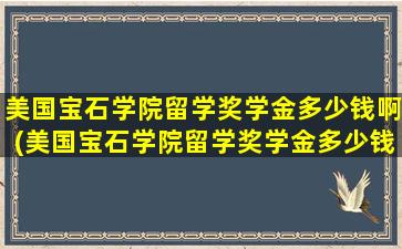 美国宝石学院留学奖学金多少钱啊(美国宝石学院留学奖学金多少钱一个月)