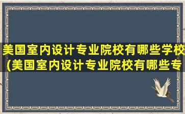 美国室内设计专业院校有哪些学校(美国室内设计专业院校有哪些专业)