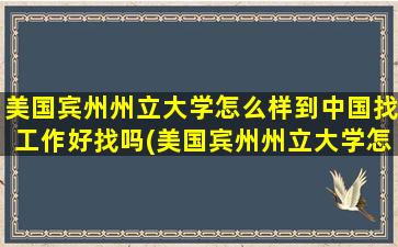 美国宾州州立大学怎么样到中国找工作好找吗(美国宾州州立大学怎么样知乎)