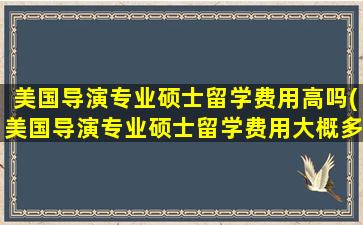 美国导演专业硕士留学费用高吗(美国导演专业硕士留学费用大概多少)