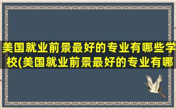 美国就业前景最好的专业有哪些学校(美国就业前景最好的专业有哪些大学)