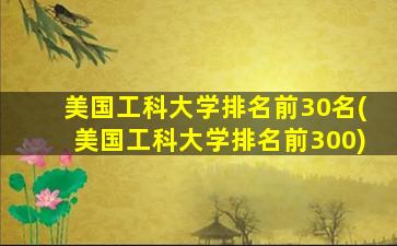 美国工科大学排名前30名(美国工科大学排名前300)