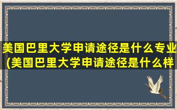 美国巴里大学申请途径是什么专业(美国巴里大学申请途径是什么样的)