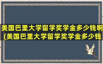 美国巴里大学留学奖学金多少钱啊(美国巴里大学留学奖学金多少钱一个月)