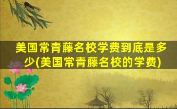 美国常青藤名校学费到底是多少(美国常青藤名校的学费)