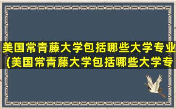 美国常青藤大学包括哪些大学专业(美国常青藤大学包括哪些大学专业)