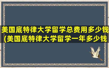 美国底特律大学留学总费用多少钱(美国底特律大学留学一年多少钱)