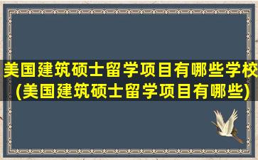 美国建筑硕士留学项目有哪些学校(美国建筑硕士留学项目有哪些)