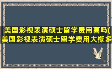 美国影视表演硕士留学费用高吗(美国影视表演硕士留学费用大概多少)