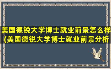 美国德锐大学博士就业前景怎么样(美国德锐大学博士就业前景分析)