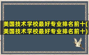 美国技术学校最好专业排名前十(美国技术学校最好专业排名前十)