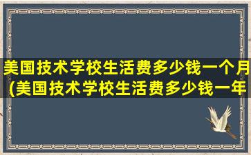 美国技术学校生活费多少钱一个月(美国技术学校生活费多少钱一年)