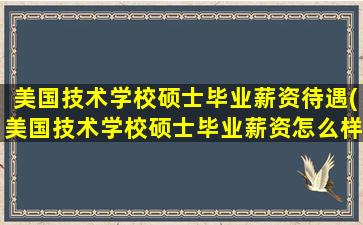 美国技术学校硕士毕业薪资待遇(美国技术学校硕士毕业薪资怎么样)