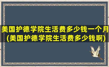 美国护德学院生活费多少钱一个月(美国护德学院生活费多少钱啊)