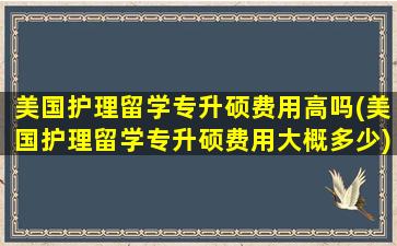 美国护理留学专升硕费用高吗(美国护理留学专升硕费用大概多少)