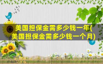 美国担保金需多少钱一年(美国担保金需多少钱一个月)