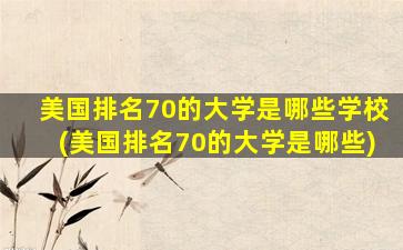 美国排名70的大学是哪些学校(美国排名70的大学是哪些)