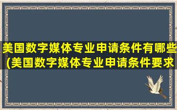 美国数字媒体专业申请条件有哪些(美国数字媒体专业申请条件要求)