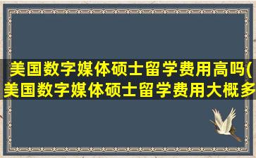 美国数字媒体硕士留学费用高吗(美国数字媒体硕士留学费用大概多少)