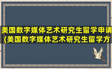 美国数字媒体艺术研究生留学申请(美国数字媒体艺术研究生留学方向)