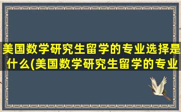 美国数学研究生留学的专业选择是什么(美国数学研究生留学的专业选择要求)