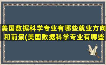 美国数据科学专业有哪些就业方向和前景(美国数据科学专业有哪些就业方向及前景)