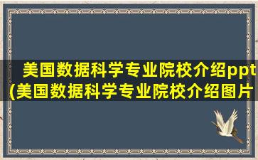 美国数据科学专业院校介绍ppt(美国数据科学专业院校介绍图片)