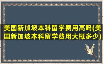 美国新加坡本科留学费用高吗(美国新加坡本科留学费用大概多少)