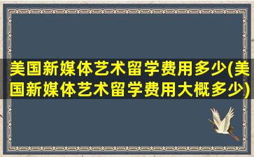 美国新媒体艺术留学费用多少(美国新媒体艺术留学费用大概多少)