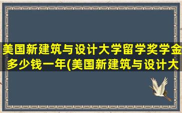 美国新建筑与设计大学留学奖学金多少钱一年(美国新建筑与设计大学留学奖学金多少钱一个月)