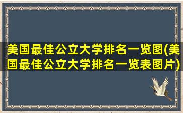 美国最佳公立大学排名一览图(美国最佳公立大学排名一览表图片)