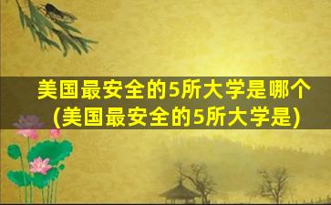 美国最安全的5所大学是哪个(美国最安全的5所大学是)