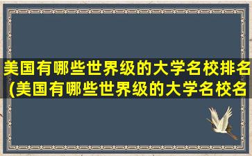 美国有哪些世界级的大学名校排名(美国有哪些世界级的大学名校名单)