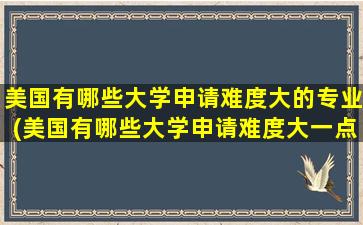 美国有哪些大学申请难度大的专业(美国有哪些大学申请难度大一点)