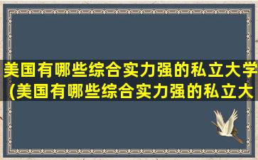 美国有哪些综合实力强的私立大学(美国有哪些综合实力强的私立大学学校)