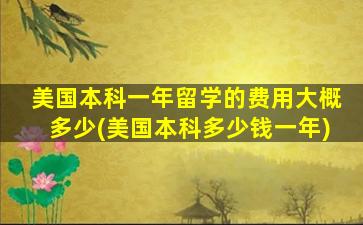 美国本科一年留学的费用大概多少(美国本科多少钱一年)