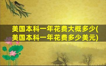 美国本科一年花费大概多少(美国本科一年花费多少美元)