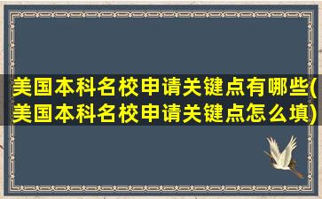 美国本科名校申请关键点有哪些(美国本科名校申请关键点怎么填)