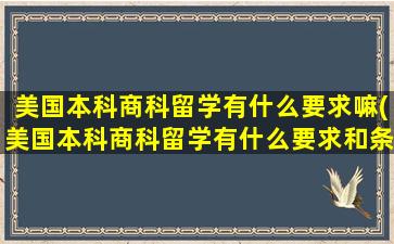 美国本科商科留学有什么要求嘛(美国本科商科留学有什么要求和条件)