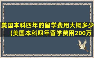 美国本科四年的留学费用大概多少(美国本科四年留学费用200万够吗)