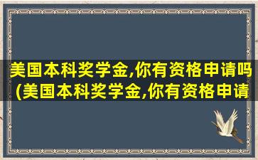 美国本科奖学金,你有资格申请吗(美国本科奖学金,你有资格申请吗英语)