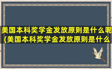 美国本科奖学金发放原则是什么呢(美国本科奖学金发放原则是什么样的)